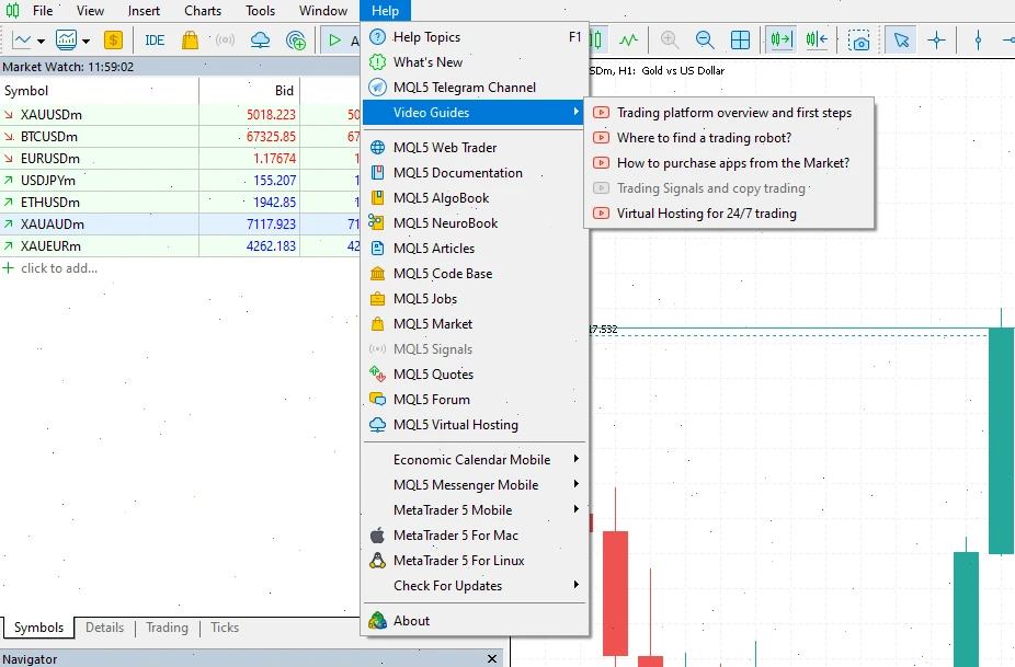 guide mt5 bot mql5 mql4